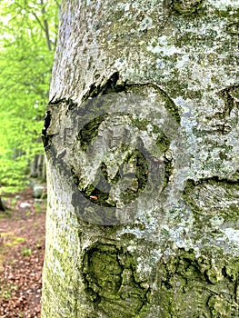 Love is in the air, and on a three