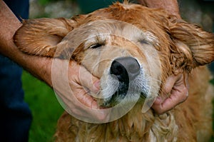 The love for his Dog and loyal friend