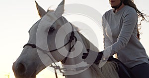 Love, horse riding or woman in countryside outdoor with rider or jockey for recreation or adventure. Relax, brush or