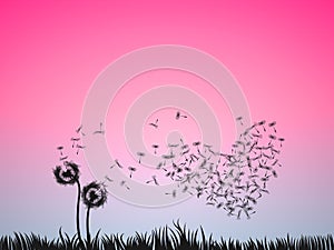 Love illustration concept, two dandelion flowers blow in the pin