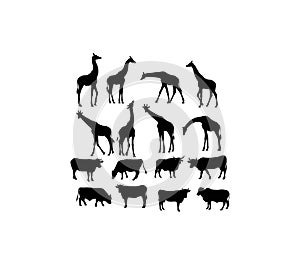 Cow and Giraffe Silhouettes photo