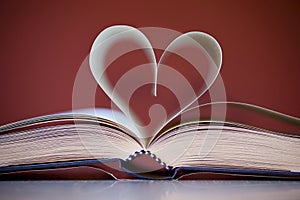 Love of knowledge photo