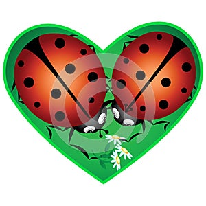 Love ladybugs