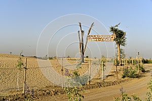 Love lake at Al Qudra, Manmade Lake at the Al Qudra Desert, Dubai, United Arab Emirates