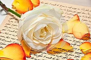 Love Letter with a Rose