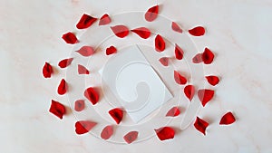 Love letter for St. Valentine's day and rose petals, copy scape for text, white background