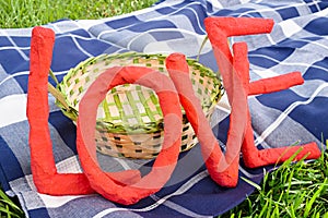 Love letters over a picnic blanket and a basket