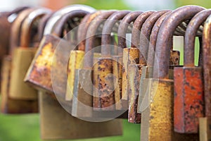 Love locks hanging on a bridge