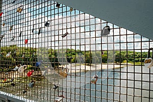 Love locks hanging on a lookout tower in friedrichshafen, germany