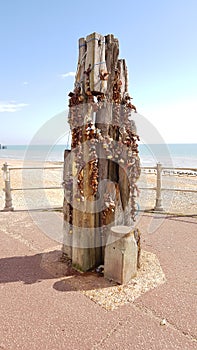 Love locks on Hastings Promenade