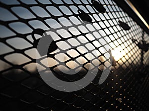 Love locks padlocks on bridge fence during sunset warm color