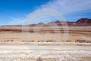 Love messages in the desert