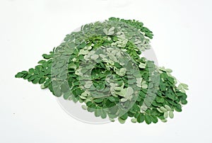 Love moringa leaves