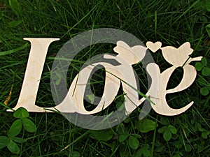 love Ð¾f nature green grass