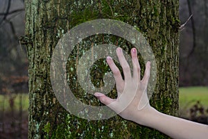 Love of nature - A hand on the trunk of a tree