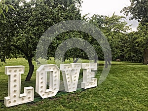 Love neon letters in park