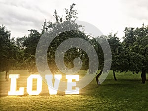 Love neon letters among trees