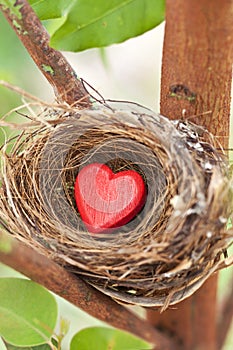 Love Nest Heart Valentine