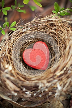 Love Nest Valentine Heart