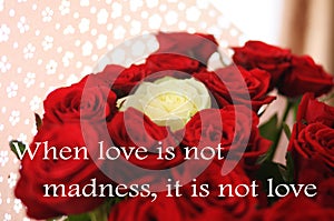 When love is not madness  it is not love