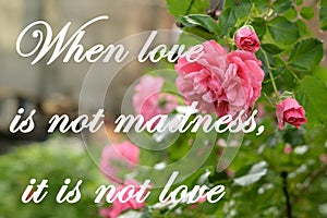 When love is not madness, it is not love