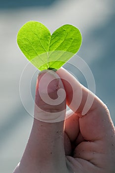 Love in the Plants