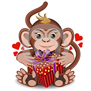 Love the plush toy monkey with box gift