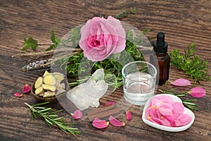 Love Potion Ingredients for Magical Spell