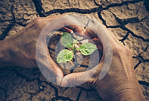 Love and protect nature