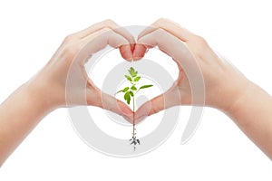 Love and protect nature and life