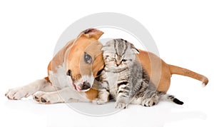 Love puppy and kitten. isolated on white background