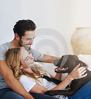 Love, relax or happy couple with a dog on house sofa bonding or laughing with trust or loyalty together. Pet, animal