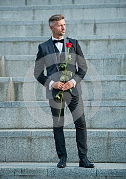 love rendezvous concept. full length of tuxedo man with love rose. flower gift for love day