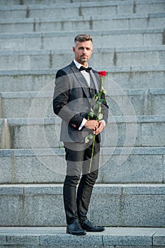 love rendezvous concept. hoary tuxedo man with love rose. flower gift for love day