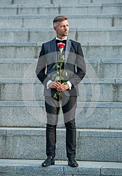 love rendezvous concept. mature tuxedo man with love rose. flower gift for love day