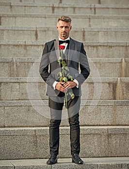 love rendezvous concept. rich tuxedo man with love rose. flower gift for love day