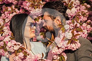 Love, romance and beauty concept. couple viewing cherry blossom at park. People in spring. sweet kiss. Couple stand near