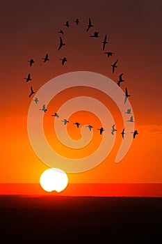 Amanecer atardecer, observación de aves 