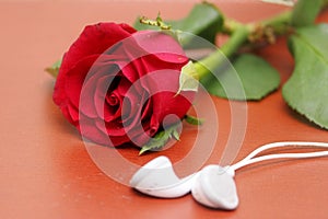 Love, rose, romantic music concept