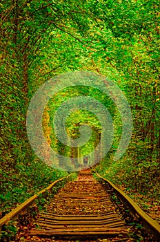 love\'s tunnel with a railway in the green forest in autumn in Rivne city, Ukraine