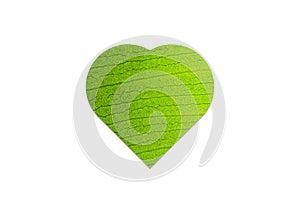 Love shape green leaf