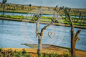 Love Sign hanging from a tree in Love Lake Dubai