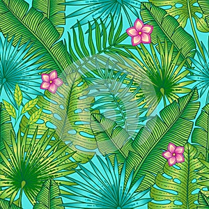 Tropical plants, interweaving different in the form of banana and palm leaves, different shades of green photo