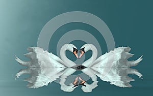 Love swans heart