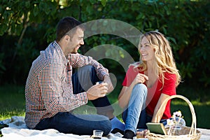 They love their romantic picnics. a happy young couple enjoying a picnic in a park.