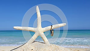 Love travel concept Wedding rings and starfish on tropical beach Oahu Hawaii