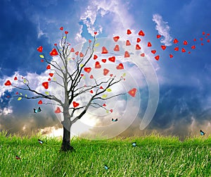 Love tree with heart leaves. Dream screensaver