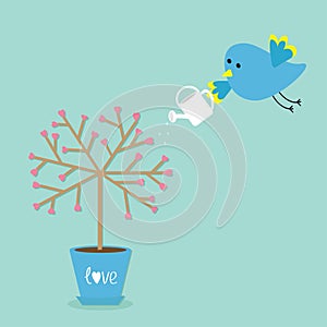 Love tree in the pot. Heart flower. Bird with watering can. Word love Blue background. Flat design