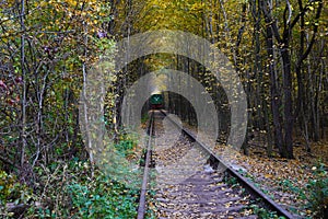 Love tunnel in autumn