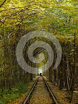 Love tunnel in autumn, Ukraine